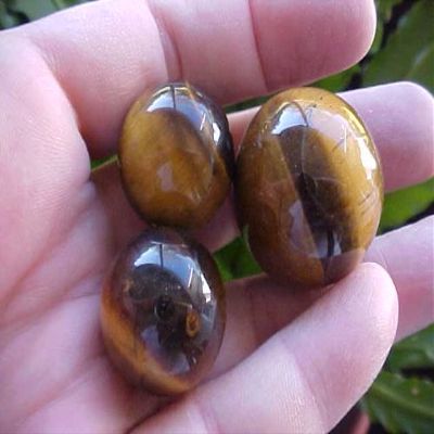 E7118 Gemqz Tiger EYE Carved Sphere 3 Pcs Cute !!!