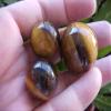 E7118 Gemqz Tiger EYE Carved Sphere 3 Pcs Cute !!! view 1