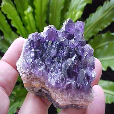 A0802 Gemqz Amethyst Crystal Cluster Uruguay !!