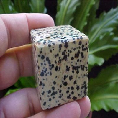 A3904 Gemqz Dalmation Stone Carved Cube !!!!
