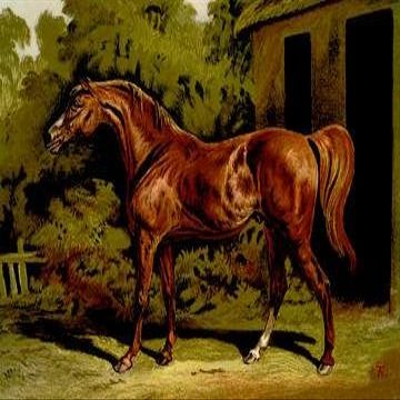 Buyenlarge 06545-1G24x36 Eclipse 24 x 36 Giclee