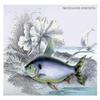 Buyenlarge 08988-1G24x36 Prochilodus Binotatus 24" x 36" Giclee view 1