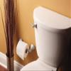 Moen Voss Collection Brushed Nickel Pivoting Toilet Paper Holder, Wall Mounted Double Post Toilet Tissue Holder, YB5108BN view 2