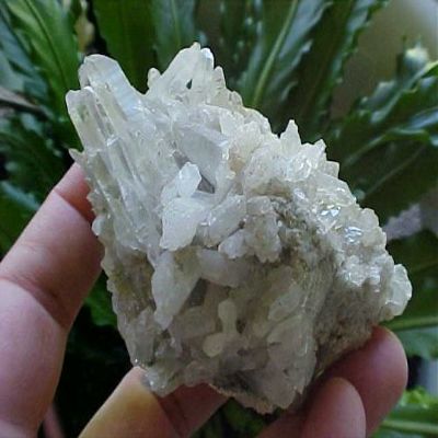 A6203 Gemqz Quartz Points in Large Matrix Unusual Cluster
