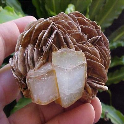 A7704 Gemqz Aquamarine & Muscovite Cluster Nice !!!!