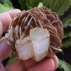 A7704 Gemqz Aquamarine & Muscovite Cluster Nice !!!! view 1