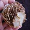 A7704 Gemqz Aquamarine & Muscovite Cluster Nice !!!! view 2