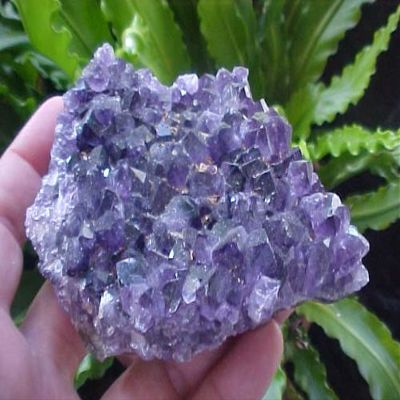 B0201 Gemqz Amethyst Crystal Cluster Uruguay Wow !!!!
