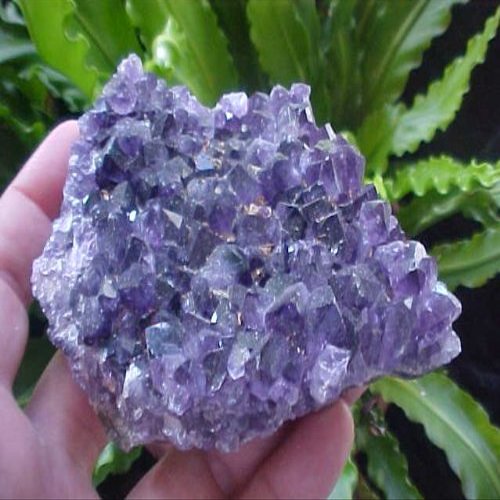 B0201 Gemqz Amethyst Crystal Cluster Uruguay Wow !!!!