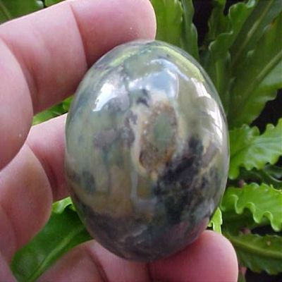 B0203 Gemqz Green Serpentine Carved Sphere Large !!!