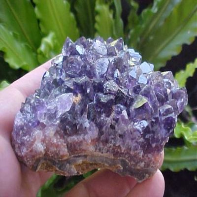 B0803 Gemqz Amethyst Crystal Cluster Artigas Large !!