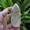 B1203 Gemqz Natural Citrine Quartz Standing Point Nice !!! view 1