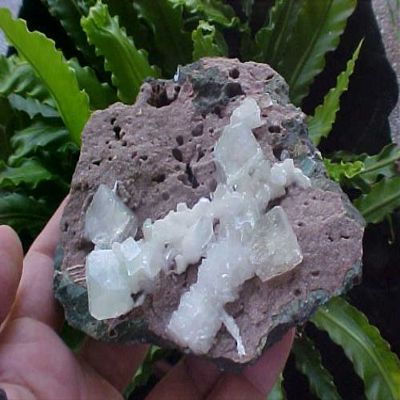 B1902 Gemqz Clear Apophyllite Crystal in Matrix Large