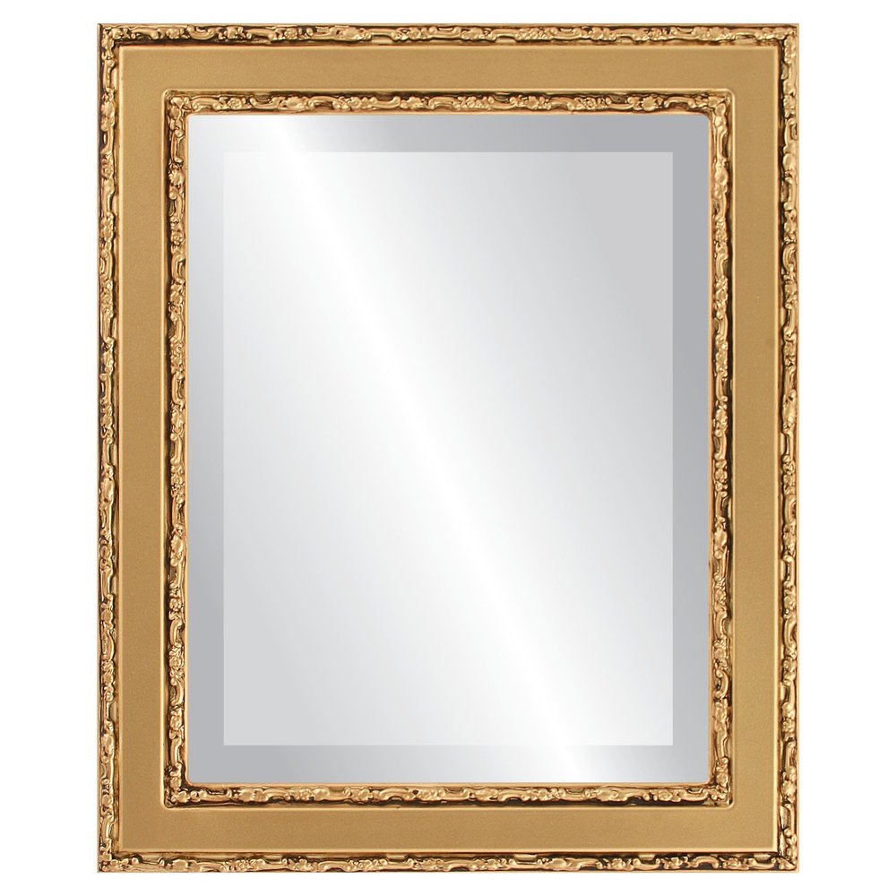 OVALCREST Rectangle Beveled Wall Mirror for Home Decor - Monticello Style - Desert Gold - 20x24 Outside Dimensions
