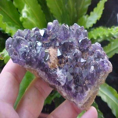 B2001 Gemqz Amethyst Crystal Cluster Uruguay !!!!