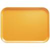 Camtray, Rectangular, 4-1/4'' X 6'', High-Impact Fiberglass W/Aluminum Reinforced Edges, Color (12 Pieces/Unit) view 1