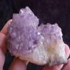 B3601 Gemqz Amethyst Growing Pine Cluster !!!! view 2