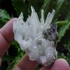 B4905 Gemqz Clear Quartz Points in Sphallerite & Pyrite Cluster view 1