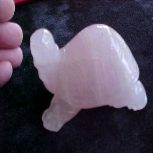 B5102 Gemqz Rosequartz Carved Turtle Madagascar !!!