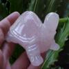 B5102 Gemqz Rosequartz Carved Turtle Madagascar !!! view 2