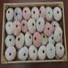 Pink Sea Shell Seashell Urchins Beach Wedding view 1