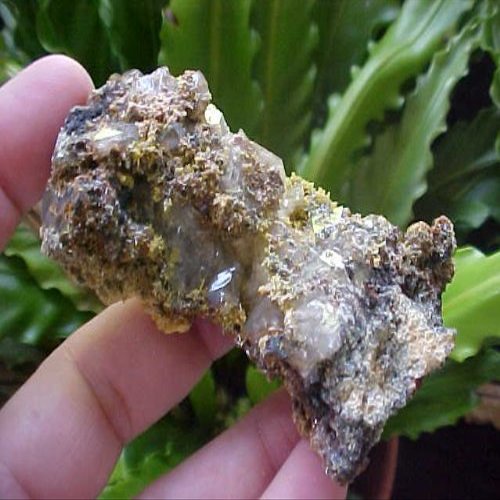 B7802 Gemqz Mimetite Cluster Mexico
