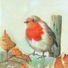 IHR Christmas Traditional English Xmas Paper Table Napkins - Mr Robin Redbreast Red Cream view 1
