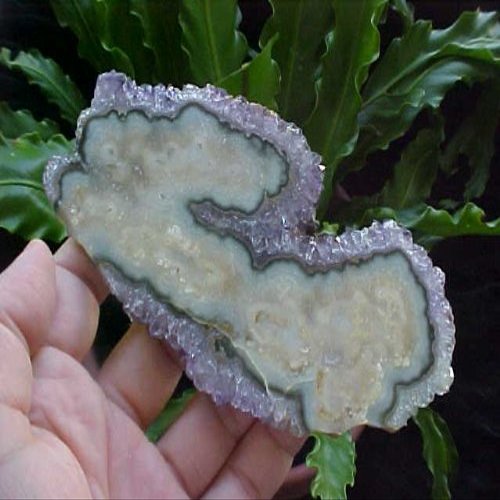 B9801 Gemqz Amethyst Stalactite BIG Slice Rare !