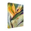 Wind Sunflowers II by Sheila Golden, 35 by 47-Inch Canvas Wall Art view 1