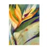 Wind Sunflowers II by Sheila Golden, 35 by 47-Inch Canvas Wall Art view 2