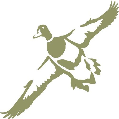Express Yourself First Look Duck Wall Decal (Olive - Facing as Shown - Medium) - Waterfowl Collection