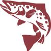 Express Yourself Brown Trout Wall Decal (Dark Red - Reverse Facing - 3XL) - Freshwater Fish Collection view 1