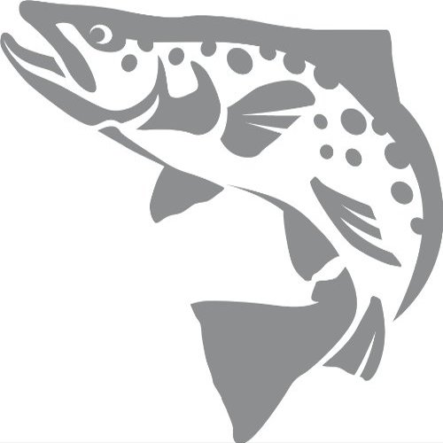 Express Yourself Brown Trout Wall Decal (Med Grey -Facing as Shown- 4XL) - Freshwater Fish Collection