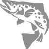 Express Yourself Brown Trout Wall Decal (Med Grey -Facing as Shown- 4XL) - Freshwater Fish Collection view 1