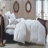 4 Piece Luxurious 1500 Thread Count Queen Size Goose Down Alternative Comforter Set 100% Egyptian Cotton, Taupe Stripe Color, 1500 TC - 750FP - 50Oz. view 2