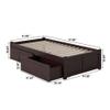AFI Concord Twin Size Platform Bed with Footboard & Storage Drawers in Espresso view 2