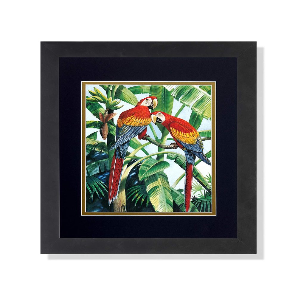 Two Scarlet Macaw Parrott Birds in Palm Tree Wall Picture B/G Matted 13x16 Framed Art Print