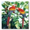 Two Scarlet Macaw Parrott Birds in Palm Tree Wall Picture B/G Matted 13x16 Framed Art Print view 2