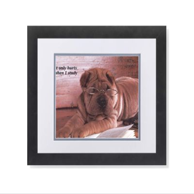Shar Pei Puppy Dog w/Glasses Reading Book Photo Wall Picture W/G Matted Framed Art Print