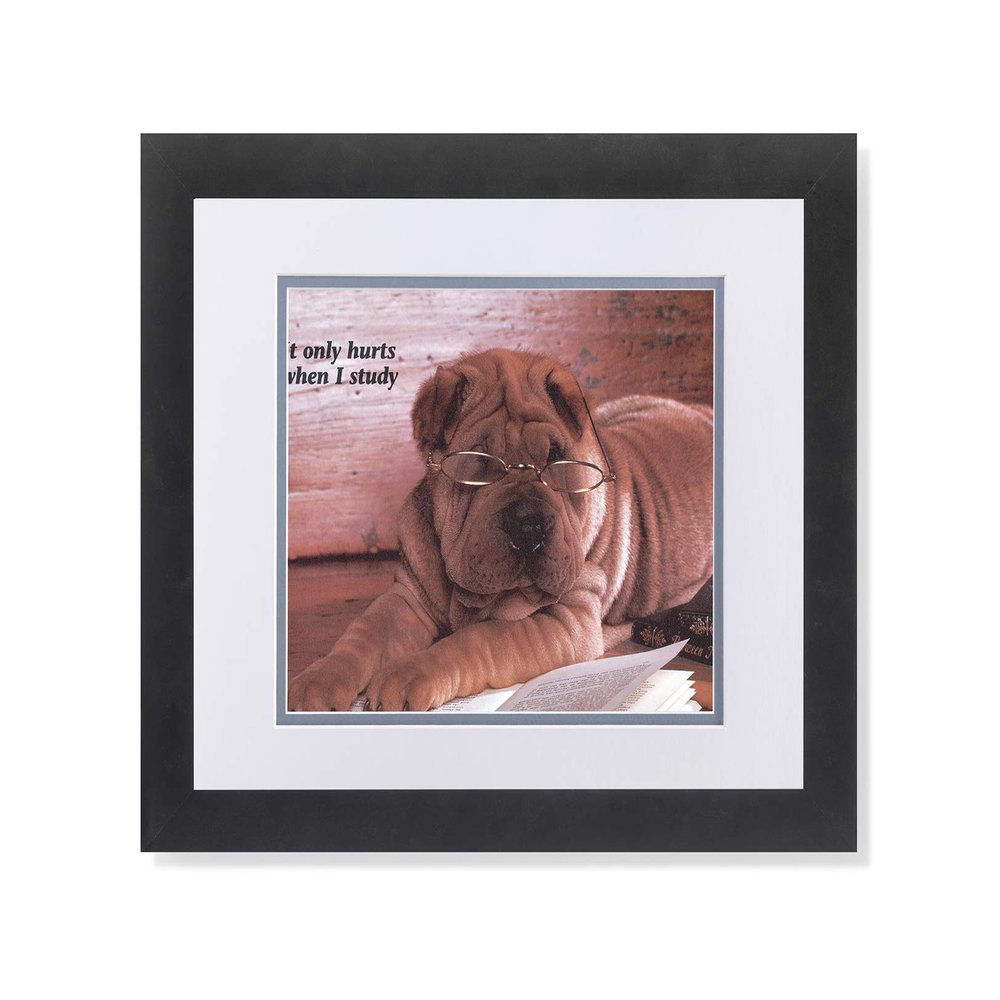 Shar Pei Puppy Dog w/Glasses Reading Book Photo Wall Picture W/G Matted Framed Art Print