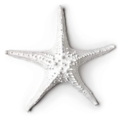Abbott Collection 20-SEASHORE/25 Large White 3D Starfish Decorative Resin Figurine