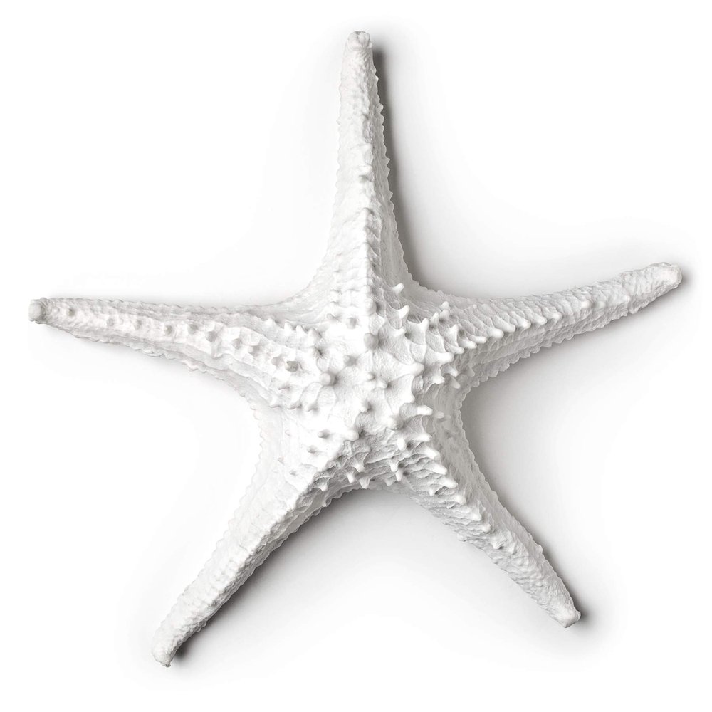Abbott Collection 20-SEASHORE/25 Large White 3D Starfish Decorative Resin Figurine