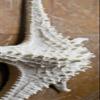 Abbott Collection 20-SEASHORE/25 Large White 3D Starfish Decorative Resin Figurine view 2