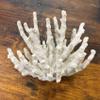 Abbott Collection 20-SEASHORE/25 Large White 3D Starfish Decorative Resin Figurine view 4