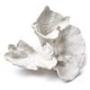 Abbott Collection 20-SEASHORE/40 Large White Flower Coral Decorative Resin Figurine view 1