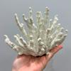Abbott Collection 20-SEASHORE/45 Small White Finger Coral Decorative Resin Figurine view 4