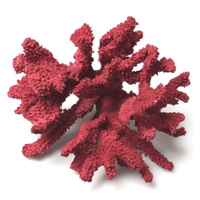 Abbott Collection 20-SEASHORE/16 RED Medium Red 3D Coral Branch Decorative Resin Figurine