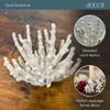 Abbott Collection 20-SEASHORE/16 RED Medium Red 3D Coral Branch Decorative Resin Figurine view 3
