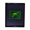 HoloBrands 3D Saturn Hologram Picture (Framed), Collectible Photopolymer Film view 1