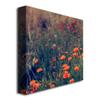 Trademark Fine Art Field of Dreams Canvas Art by Beata Czyzowska, 24 by 24-Inch view 2